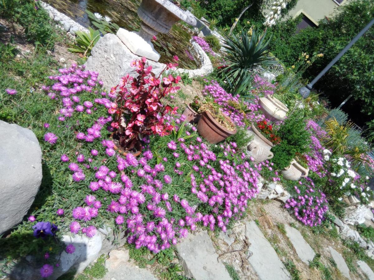 Villa Fiorita Monfalcone Exteriér fotografie
