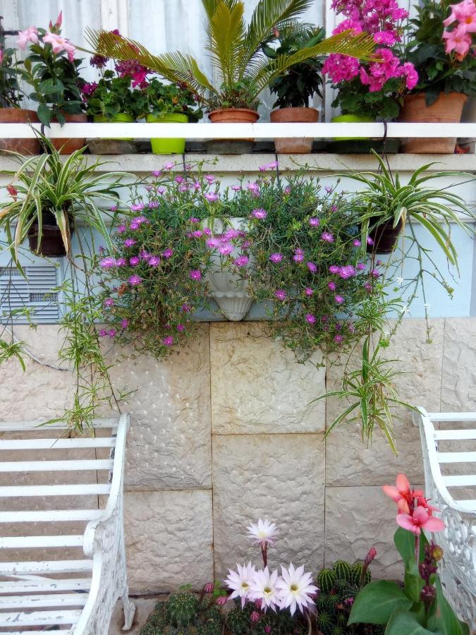 Villa Fiorita Monfalcone Exteriér fotografie