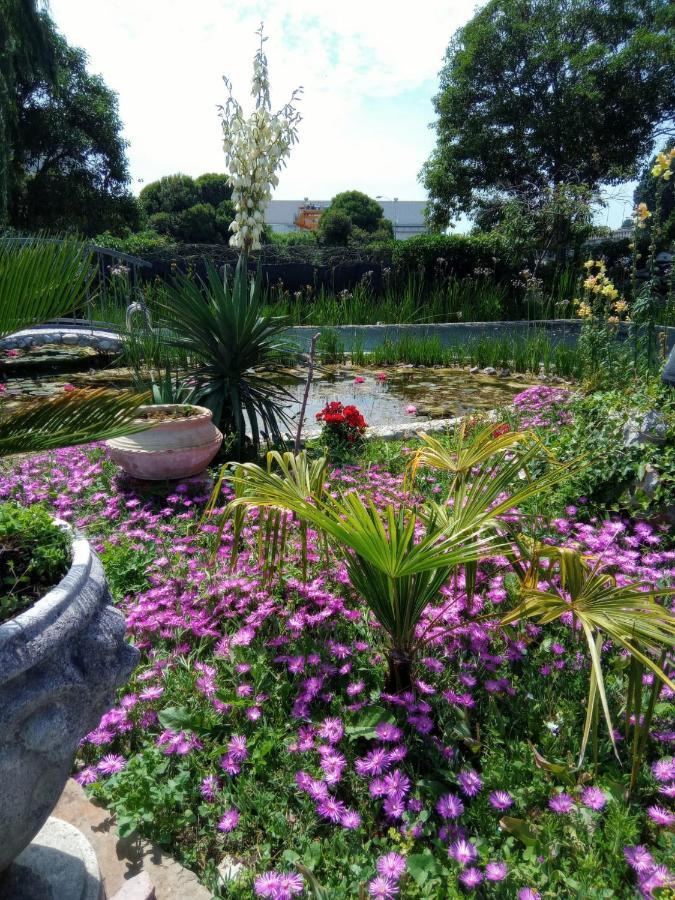 Villa Fiorita Monfalcone Exteriér fotografie