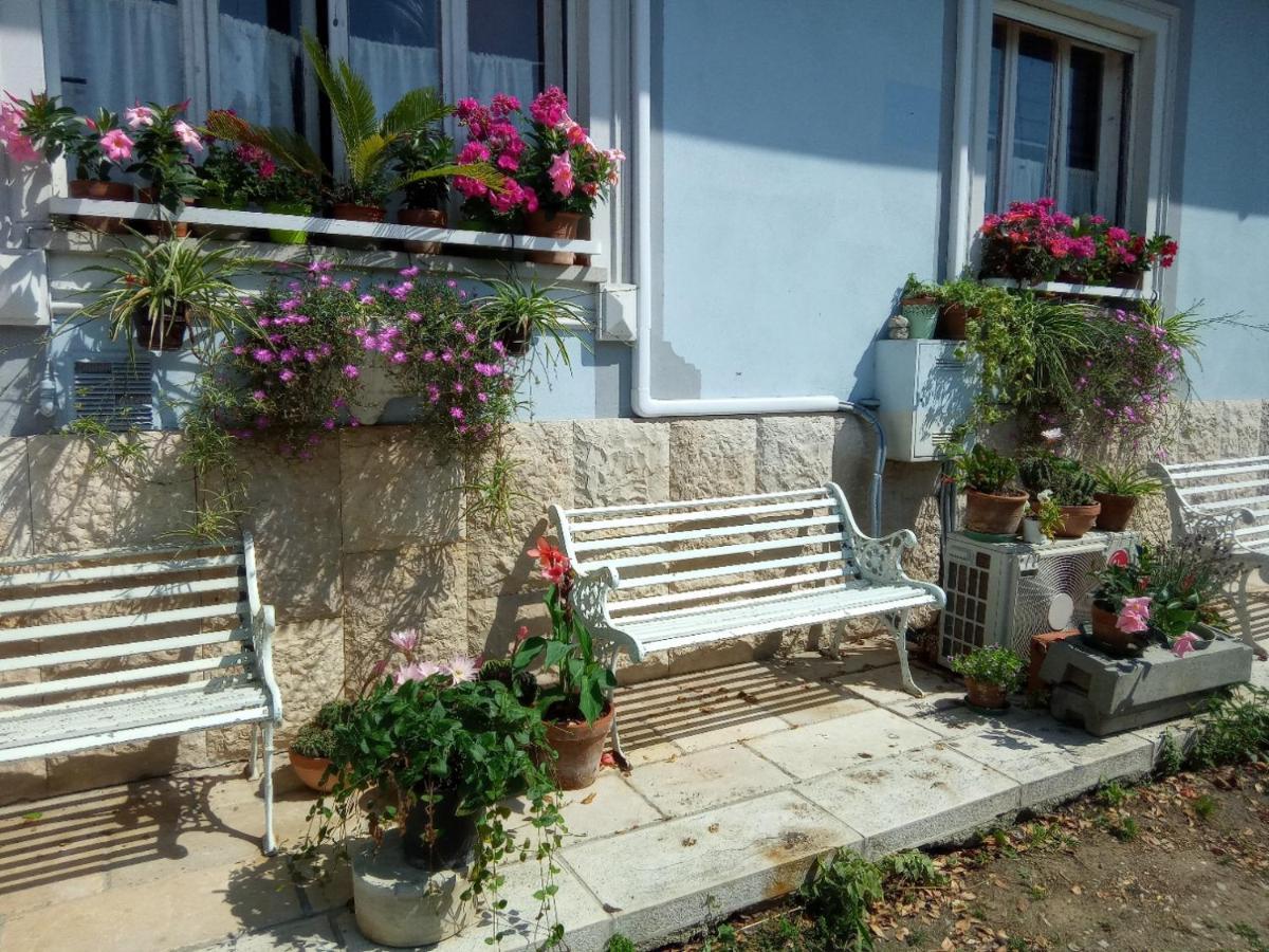Villa Fiorita Monfalcone Exteriér fotografie