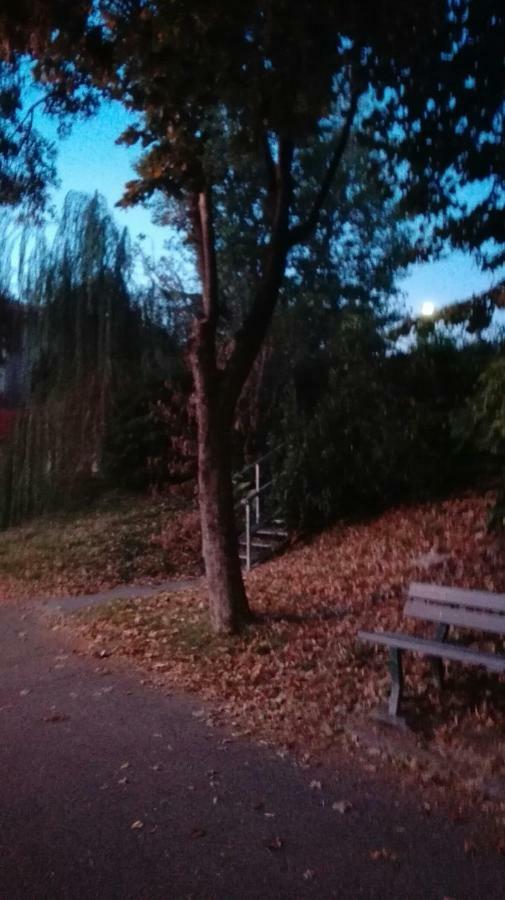Villa Fiorita Monfalcone Exteriér fotografie